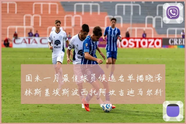 国米一月最佳球员候选名单揭晓泽林斯基埃斯波西托阿坎吉迪马尔科争夺荣誉