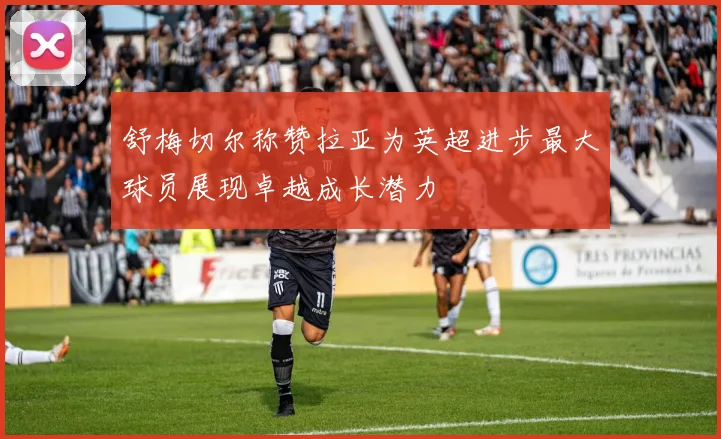 舒梅切尔称赞拉亚为英超进步最大球员展现卓越成长潜力