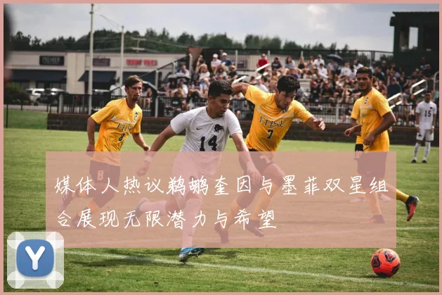 媒体人热议鹈鹕奎因与墨菲双星组合展现无限潜力与希望