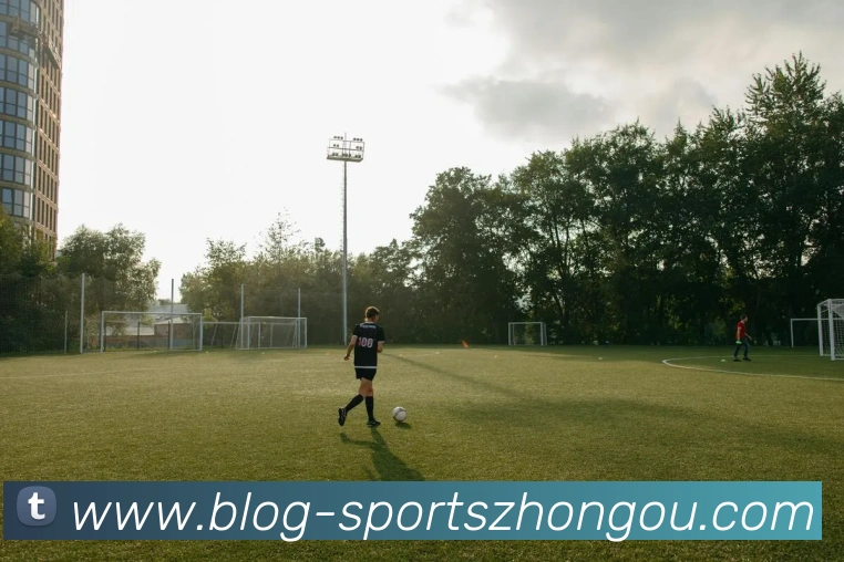 数据防护可视化